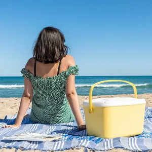 Kühlbox Lilty mit Becherhaltern – InnovaGoods